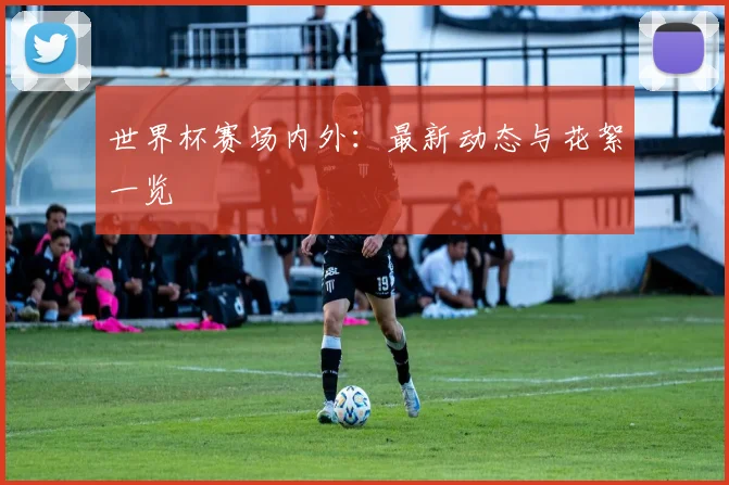 世界杯赛场内外:最新动态与花絮一览