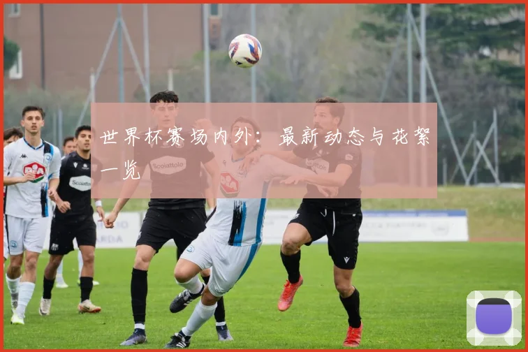 世界杯赛场内外：最新动态与花絮一览