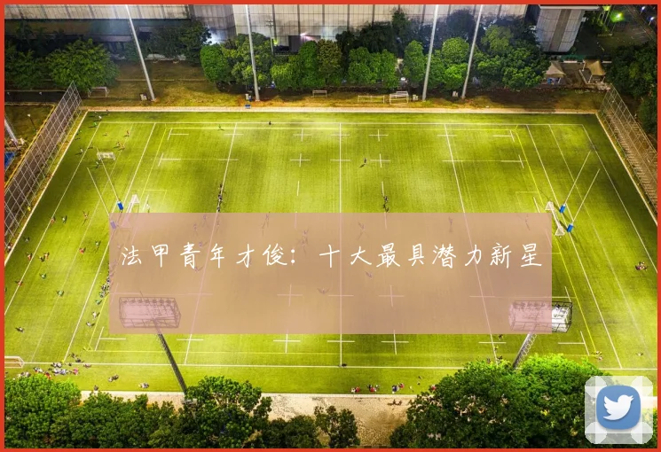 法甲青年才俊:十大最具潜力新星